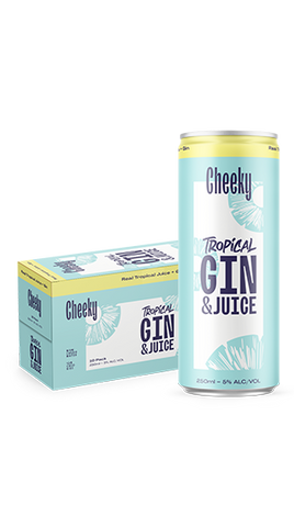 CHEEKY Hard Iced Tea Gin & Juice 10PK 250ml