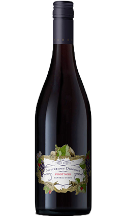 Tera Sancta Mysterious Diggings Central Otago  Pinot Noir 750ml